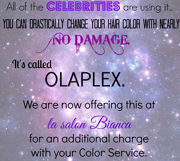 luminous studio OLAPLEX