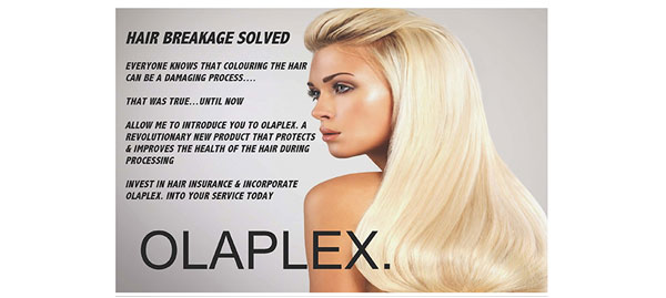 Luminous Studio OLAPLEX
